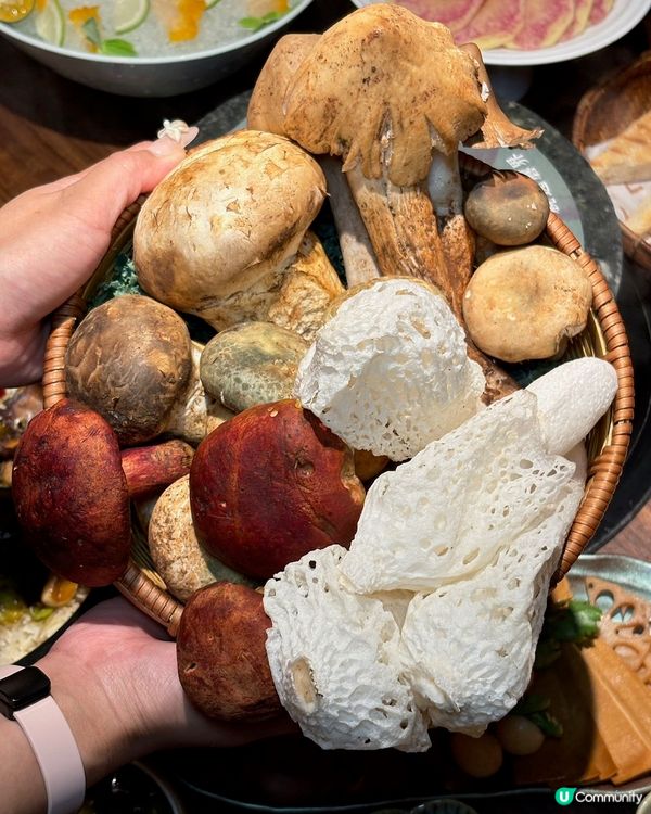 🍄‍🟫蘑菇自行研發火鍋湯首店