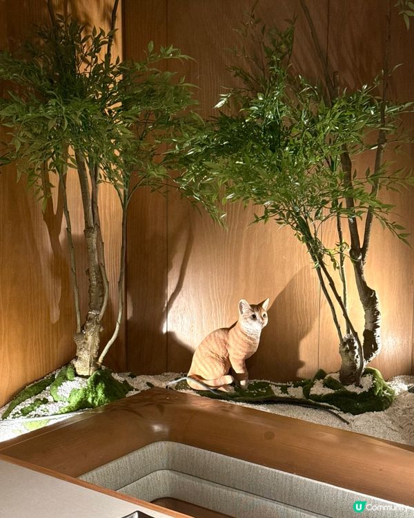 打卡餐廳·栗子芭菲天花板