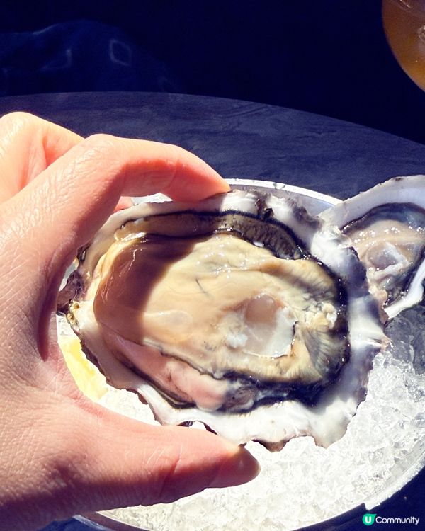 閨蜜最愛生蠔！灣仔浪漫聖誕大餐🎄🦪