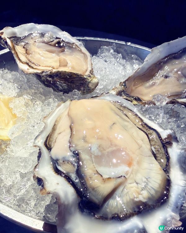 閨蜜最愛生蠔！灣仔浪漫聖誕大餐🎄🦪