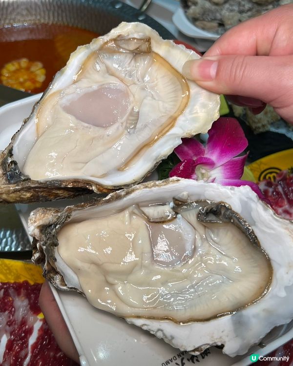 雙旦聚餐首選！深圳大目火鍋包房等你🥳