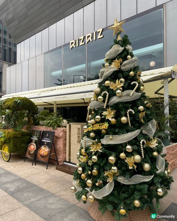 送給十二月壽星🎂朋友一個Cozy的美食冬日Lunch🎄⛄️