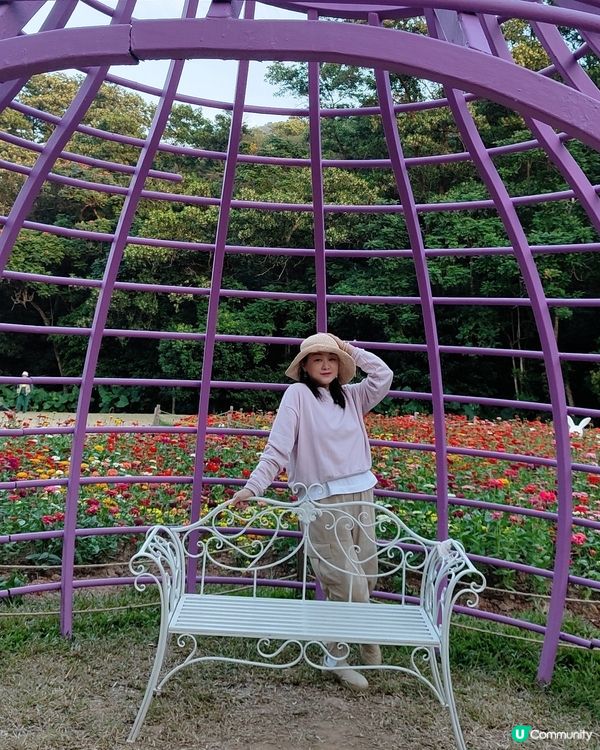 🌼🌼我愛花花🌼🌼之仙湖花展最後一輯😍