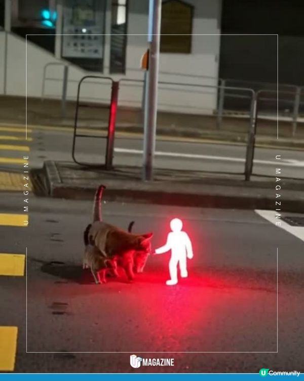 港版《Toy Story》奇遇記？! 本土創作以AI為香港路牌小人注入生命