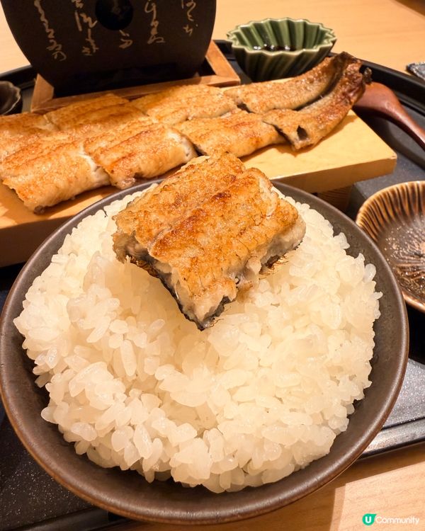 四代目菊川鰻魚🤤！鰻魚控朝聖！🔥