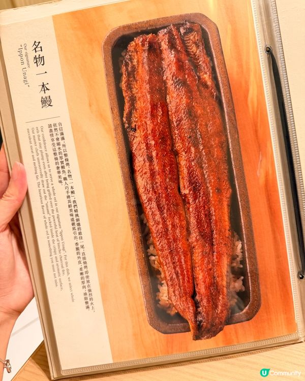 四代目菊川鰻魚🤤！鰻魚控朝聖！🔥