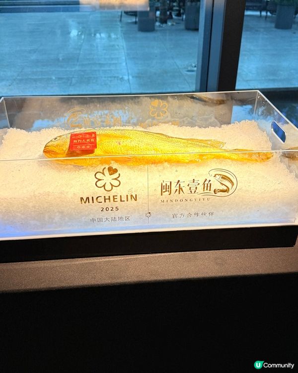 前海花悅庭黃魚宴🤤！原條黃魚極緻演繹！必衝！