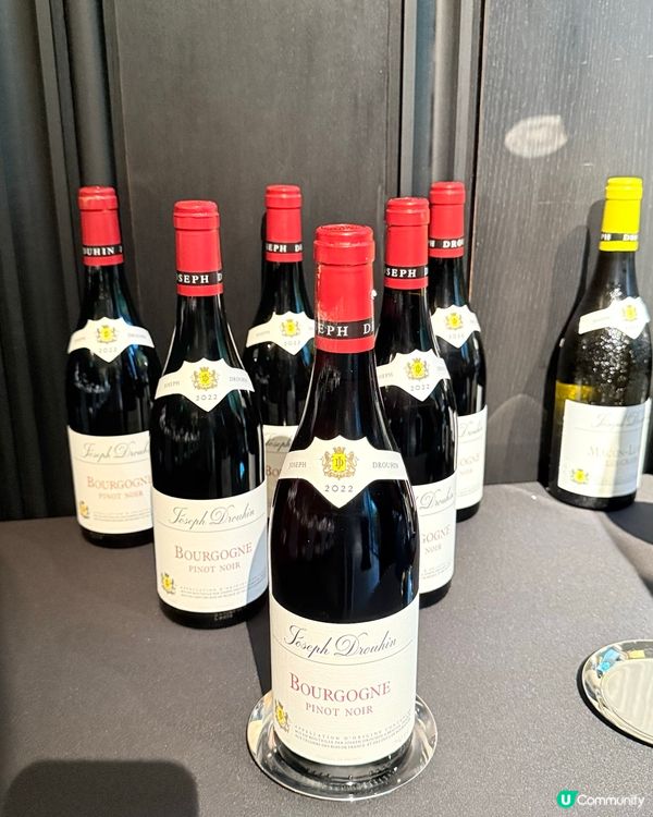 前海花悅庭黃魚宴🤤！原條黃魚極緻演繹！必衝！