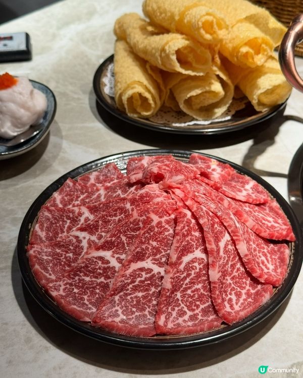 漁火火鍋！尖咀聚餐首選！😋 海鮮刺身任你揀！