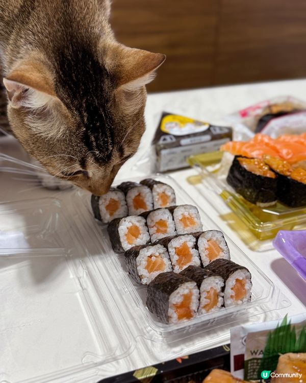 趕時間食飯？魚尚飯糰性價比之選🍙😋