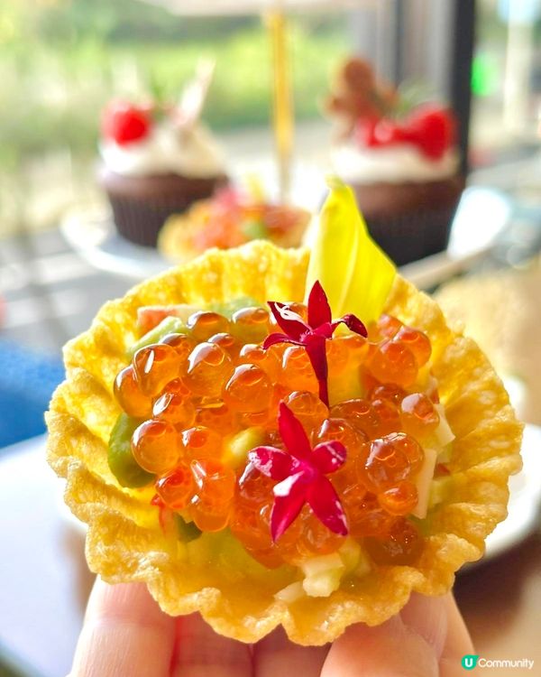 聖誕下午茶🎄閨蜜打卡必去！📸✨