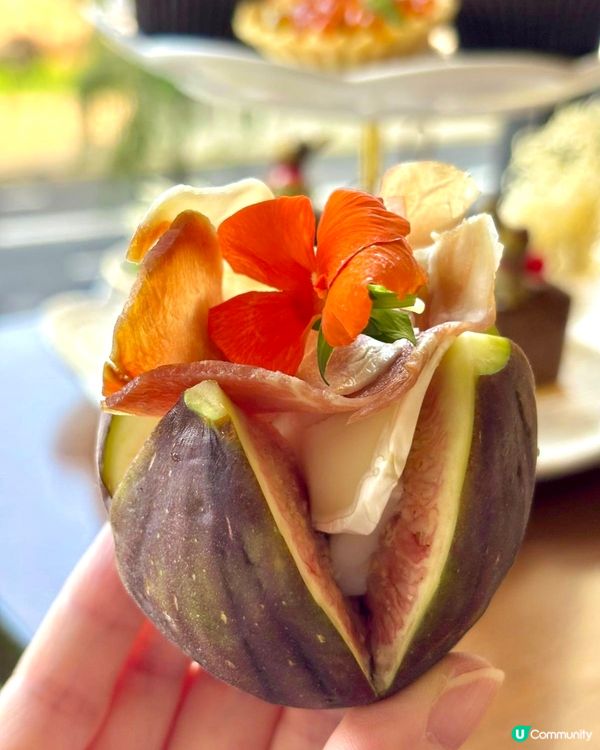 聖誕下午茶🎄閨蜜打卡必去！📸✨