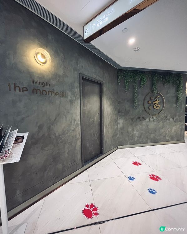 北角匯浪漫慶典！維港夜景+寵物友善 🐶🥂💖