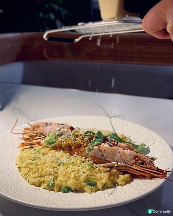 北角匯浪漫慶典！維港夜景+寵物友善 🐶🥂💖