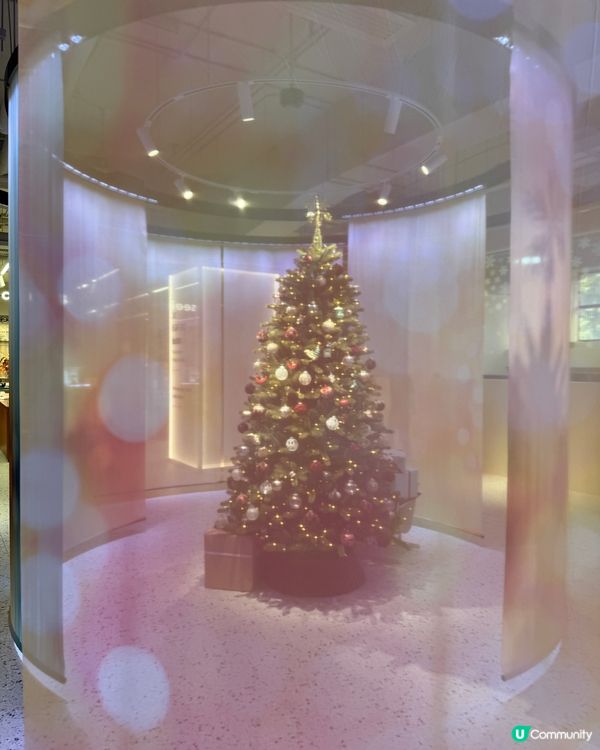 南豐紗廠聖誕🎄打卡攻略！影靚相📸+玩樂🥳！