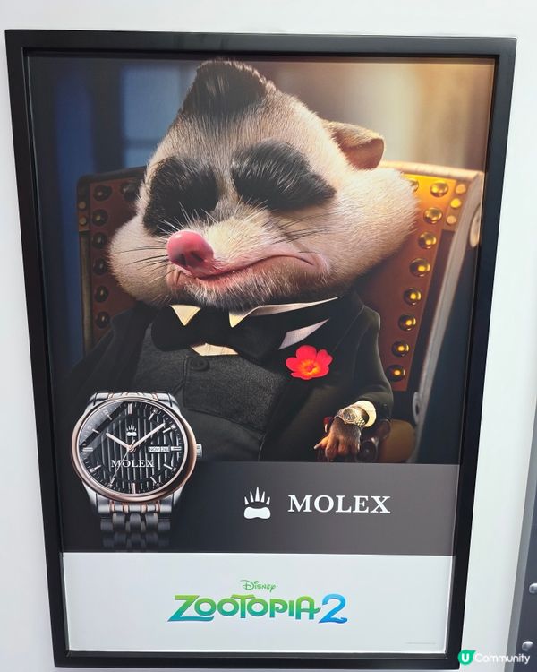 時代廣場聖誕裝飾