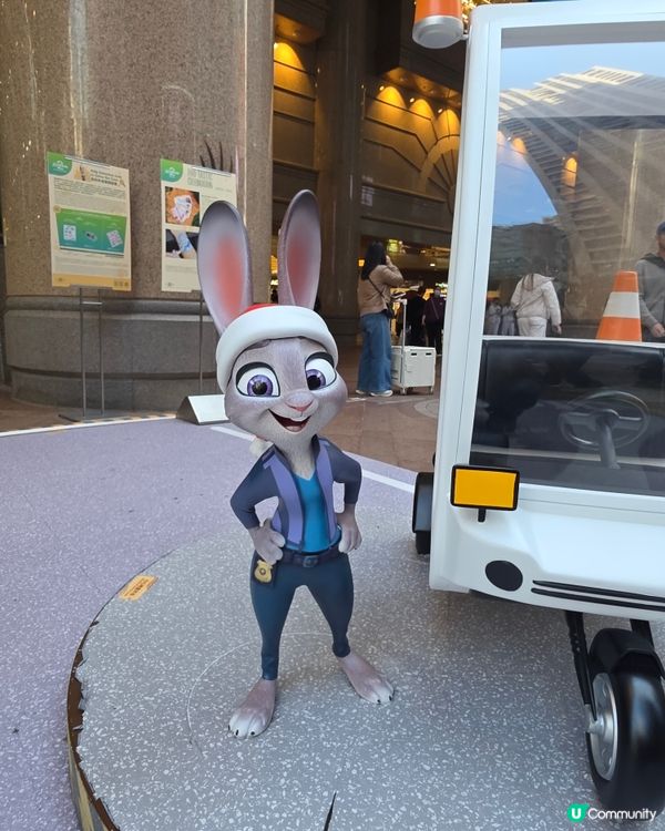 時代廣場聖誕裝飾