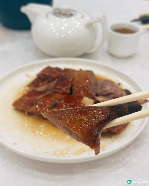 老字號酒家🤤！燒鵝皇+元貝超正！😋