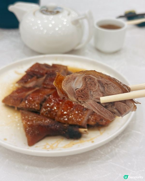 老字號酒家🤤！燒鵝皇+元貝超正！😋