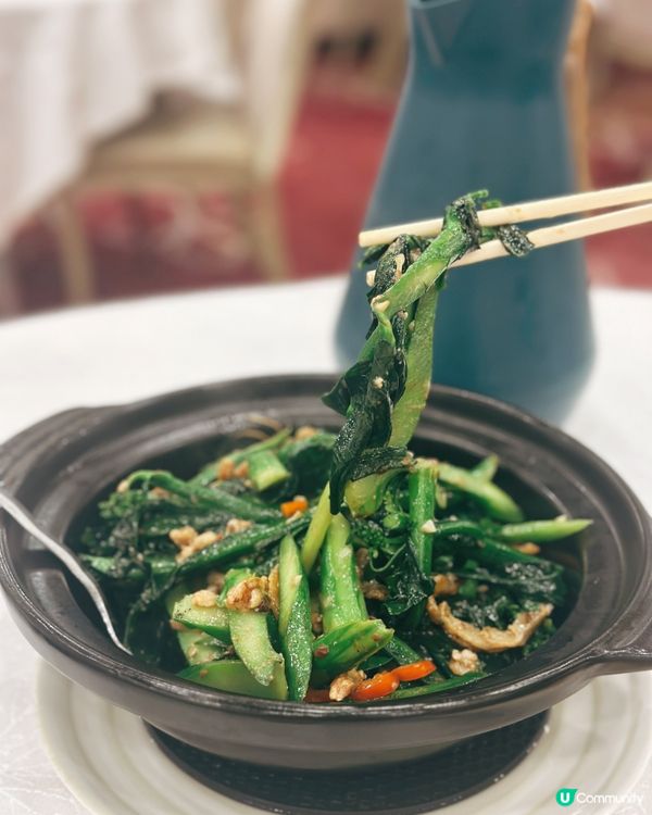 老字號酒家🤤！燒鵝皇+元貝超正！😋