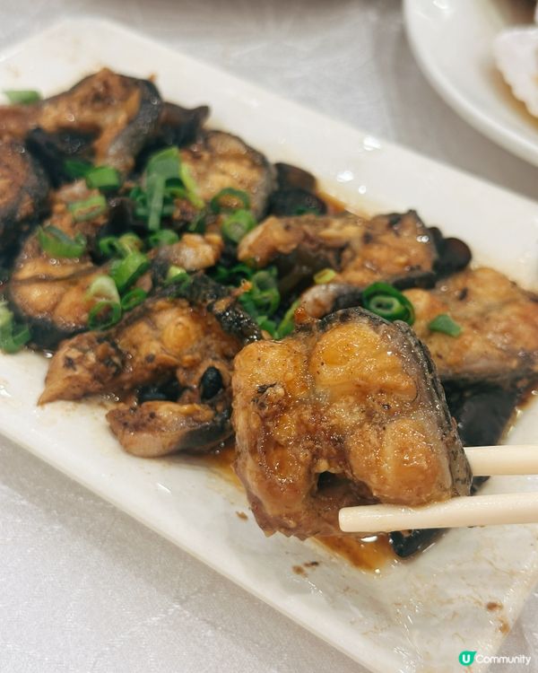 老字號酒家🤤！燒鵝皇+元貝超正！😋
