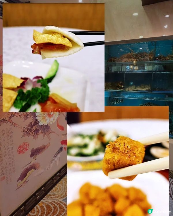 望月軒粵菜川菜🤤！海鮮套餐正呀！🦞