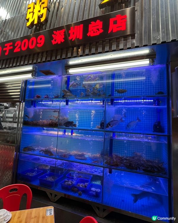 【深圳宵夜新蒲點🔥】16年燒烤王駕到！🤤 羅湖夜貓衝呀！