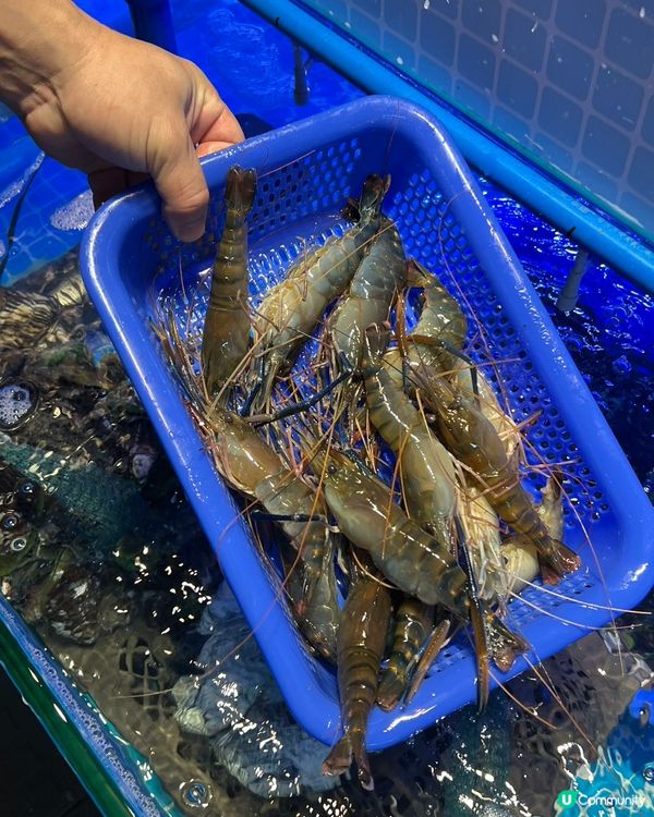 【深圳宵夜新蒲點🔥】16年燒烤王駕到！🤤 羅湖夜貓衝呀！