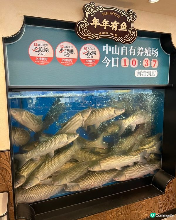 脆鯇魚排隊王！深圳必吃🔥 淘米撈等你嚟！