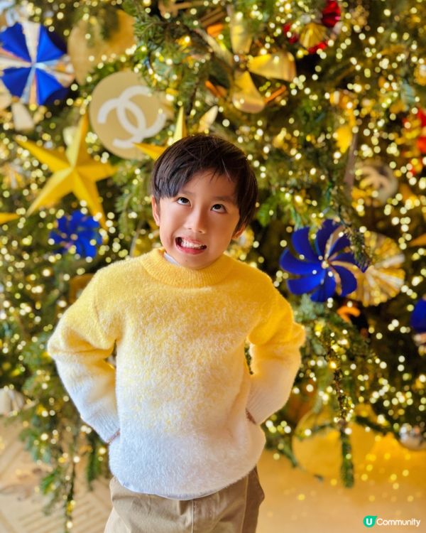 每年半島酒店會變景點的時間🎄🌲