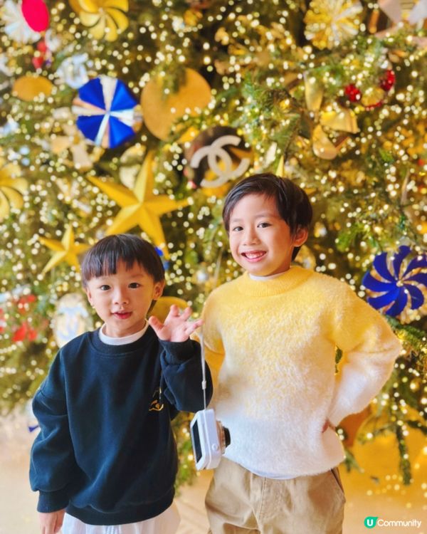 每年半島酒店會變景點的時間🎄🌲