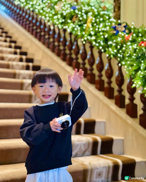 每年半島酒店會變景點的時間🎄🌲