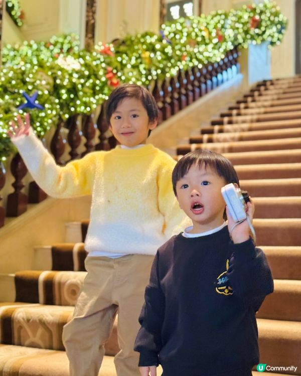 每年半島酒店會變景點的時間🎄🌲