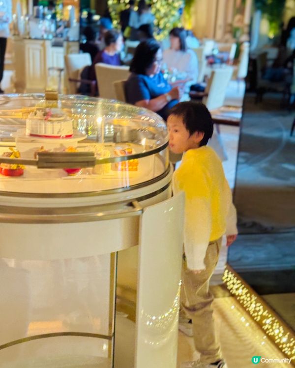 每年半島酒店會變景點的時間🎄🌲