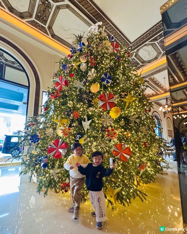 每年半島酒店會變景點的時間🎄🌲
