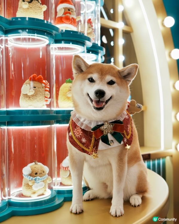 🛍️Noodoll薯蛋百貨🏬