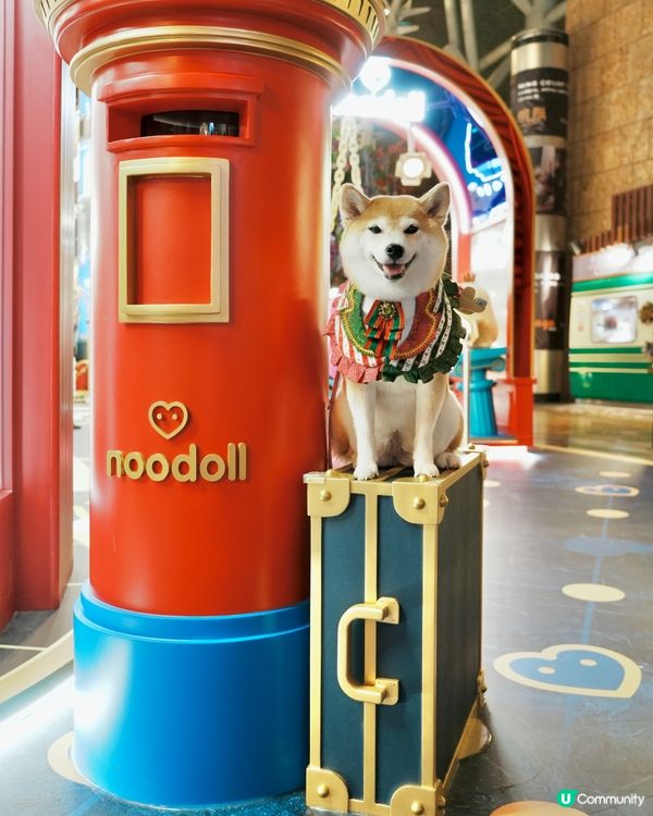 🛍️Noodoll薯蛋百貨🏬