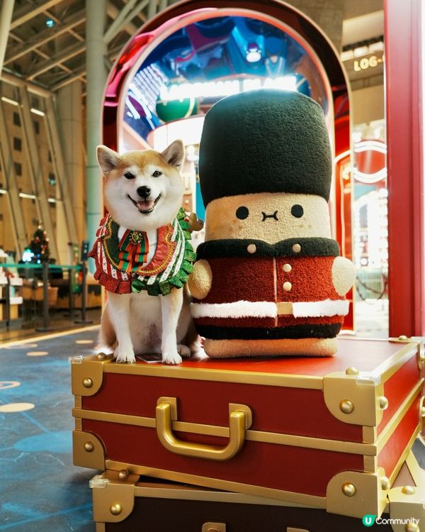 🛍️Noodoll薯蛋百貨🏬