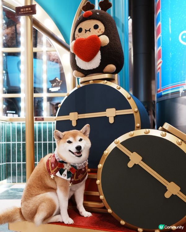 🛍️Noodoll薯蛋百貨🏬