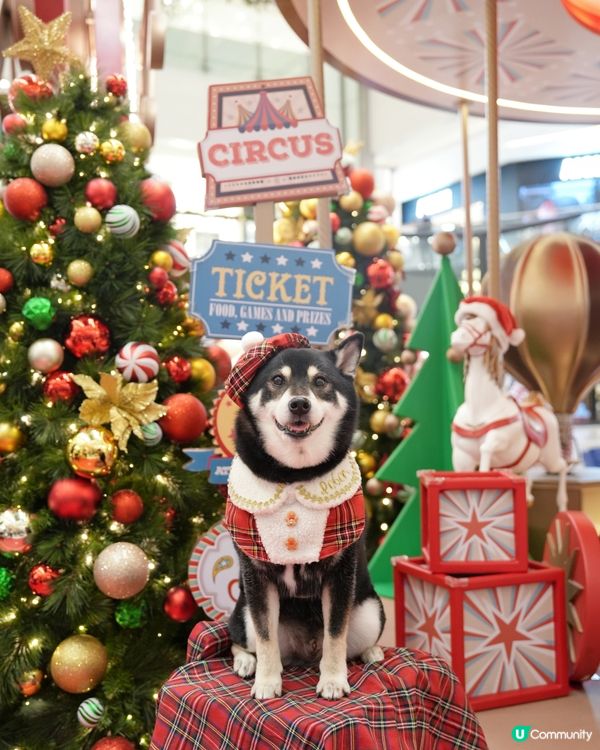 新城市廣場聖誕嘉年華！🎄🎠 🎪📸