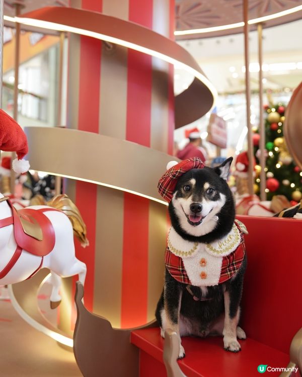 新城市廣場聖誕嘉年華！🎄🎠 🎪📸