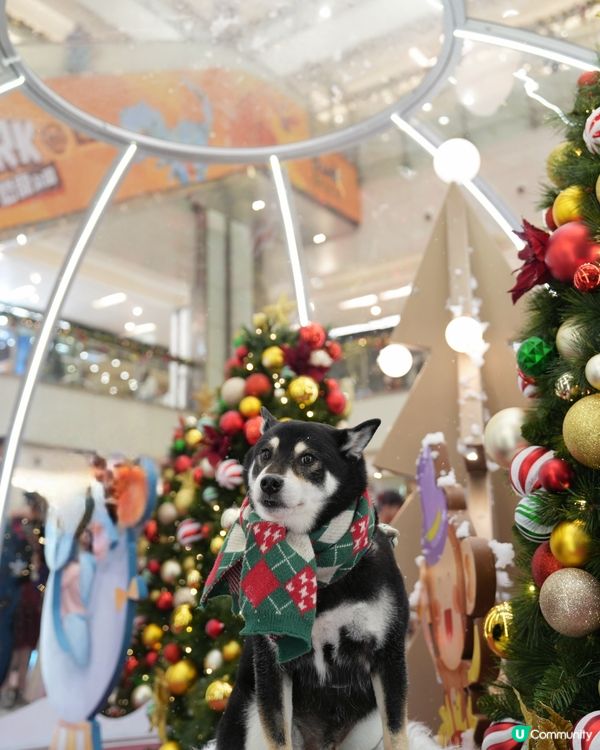 新城市廣場聖誕嘉年華！🎄🎠 🎪📸