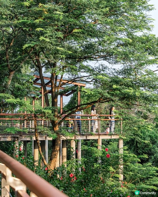 深圳寶安Citywalk指南🚶🏻帶你爽逛文體場地+山邊海景路線🌊