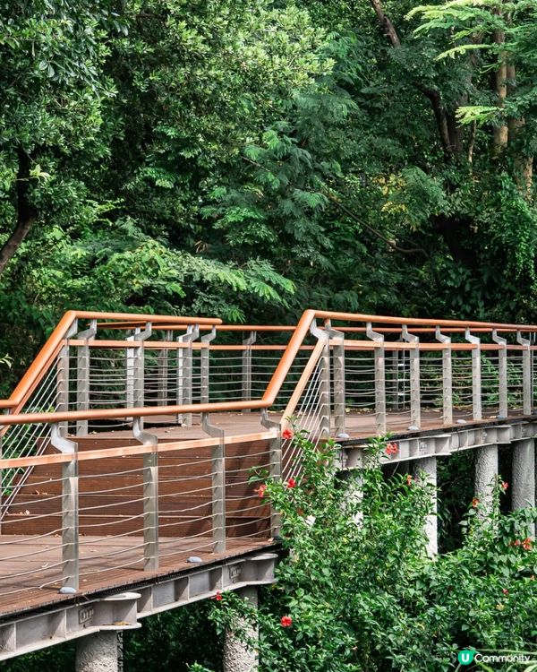深圳寶安Citywalk指南🚶🏻帶你爽逛文體場地+山邊海景路線🌊