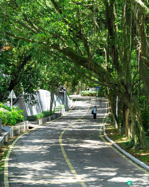 深圳寶安Citywalk指南🚶🏻帶你爽逛文體場地+山邊海景路線🌊