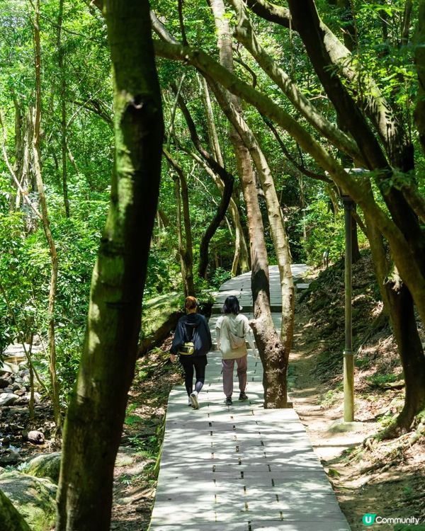 深圳寶安Citywalk指南🚶🏻帶你爽逛文體場地+山邊海景路線🌊