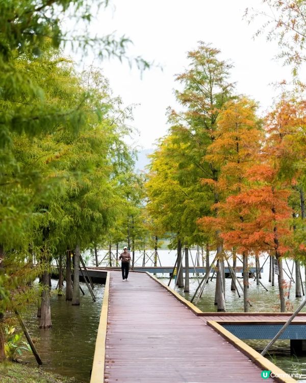 深圳寶安Citywalk指南🚶🏻帶你爽逛文體場地+山邊海景路線🌊