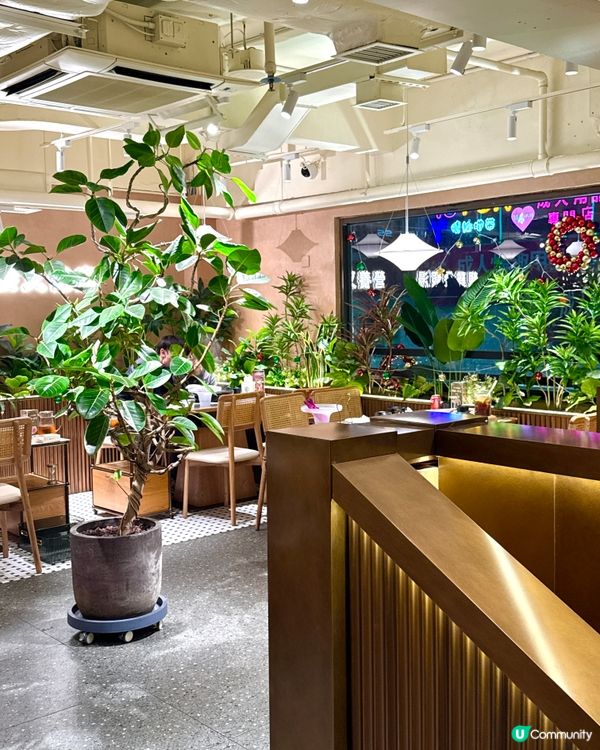 聖誕2025‼️庭園裝修聚會之選👍🏻脆皮雞打邊爐🔥