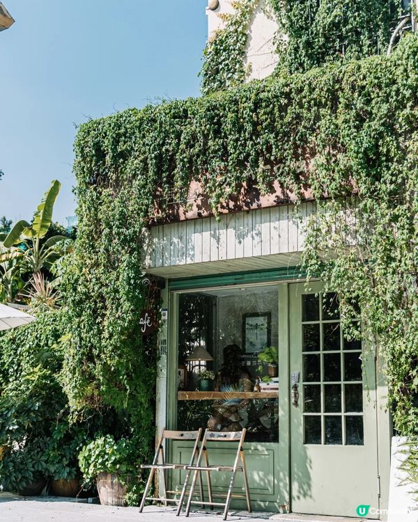 深圳寶安精選美食、人文Citywalk路線✨打卡必去咖啡一條街☕