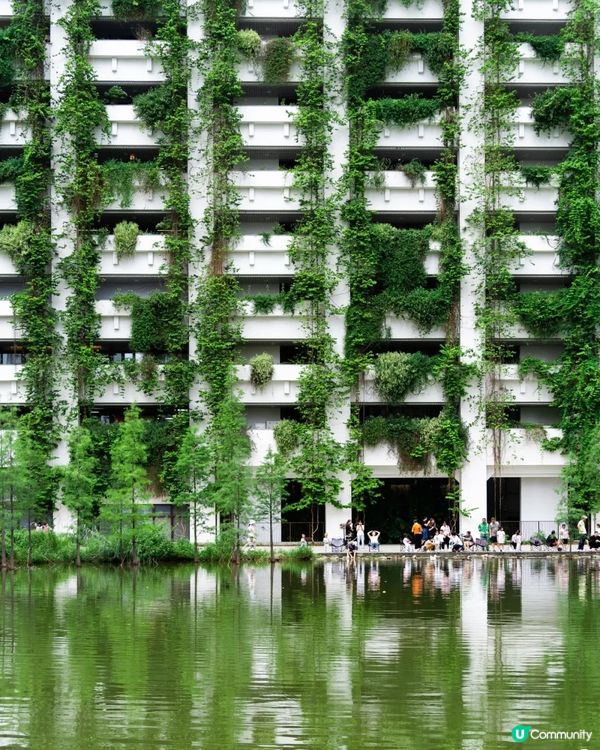 深圳寶安精選美食、人文Citywalk路線✨打卡必去咖啡一條街☕